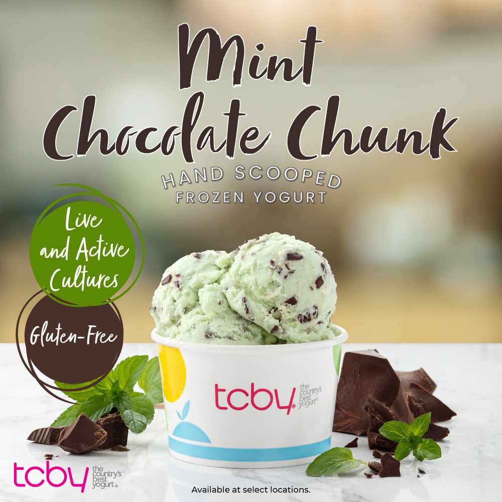 Mint Chocolate Chunk Hand Scoop Frozen Yogurt