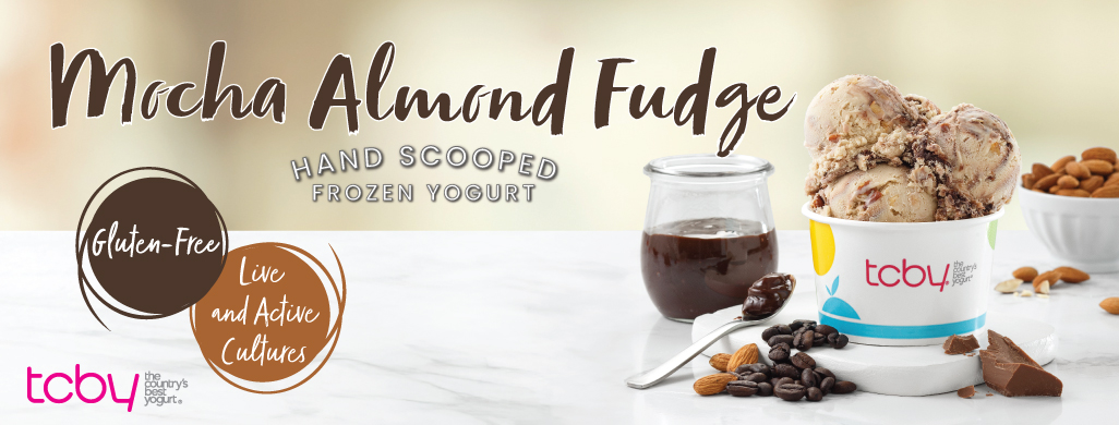 Mocha Almond Fudge Hand Scooped Frozen Yogurt